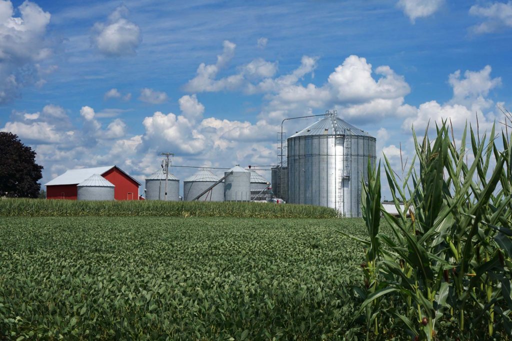 farm 1