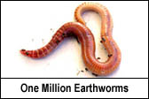 One Million Earthworms - Garriock Insurance - Autopac in Manitoba