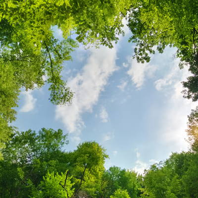 environment