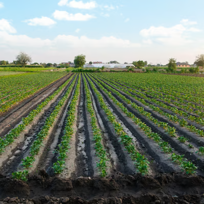 farm