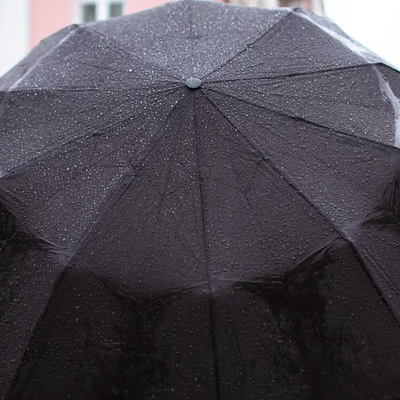 umbrella