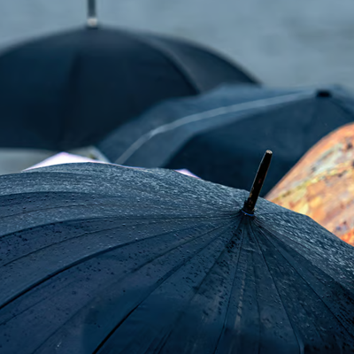 umbrella